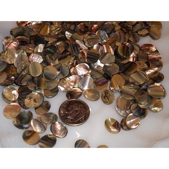 NOS Natural Abalone Flat 10 x 8mm Cabochons - Picture 1 of 3